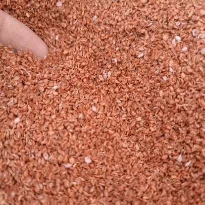 Dairy Farm Record Keeping: Doodh, Feed Aur Kharch Ka Asan Nizam